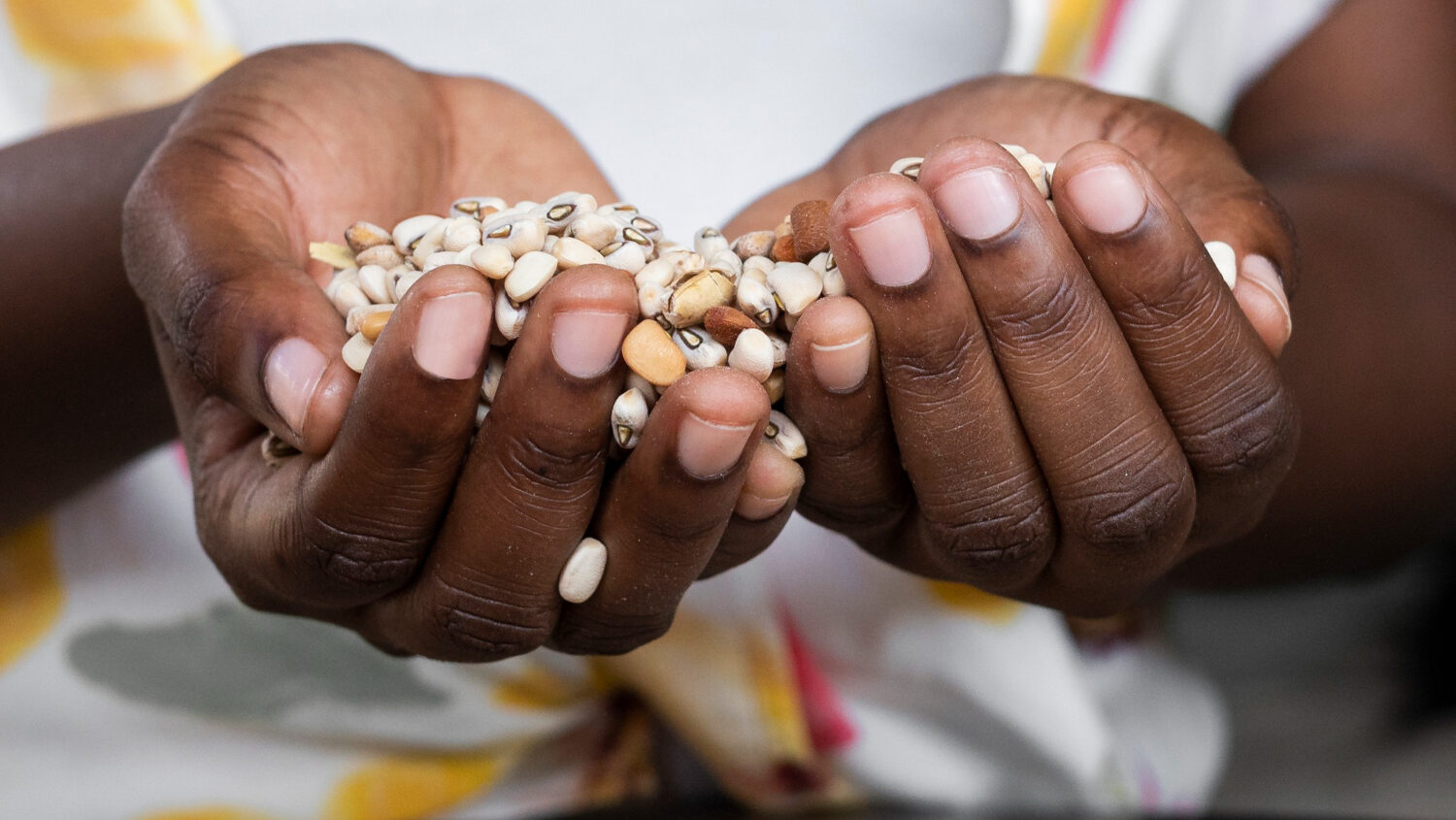 Les communs en Afrique : levier pour l’agriculture durable.